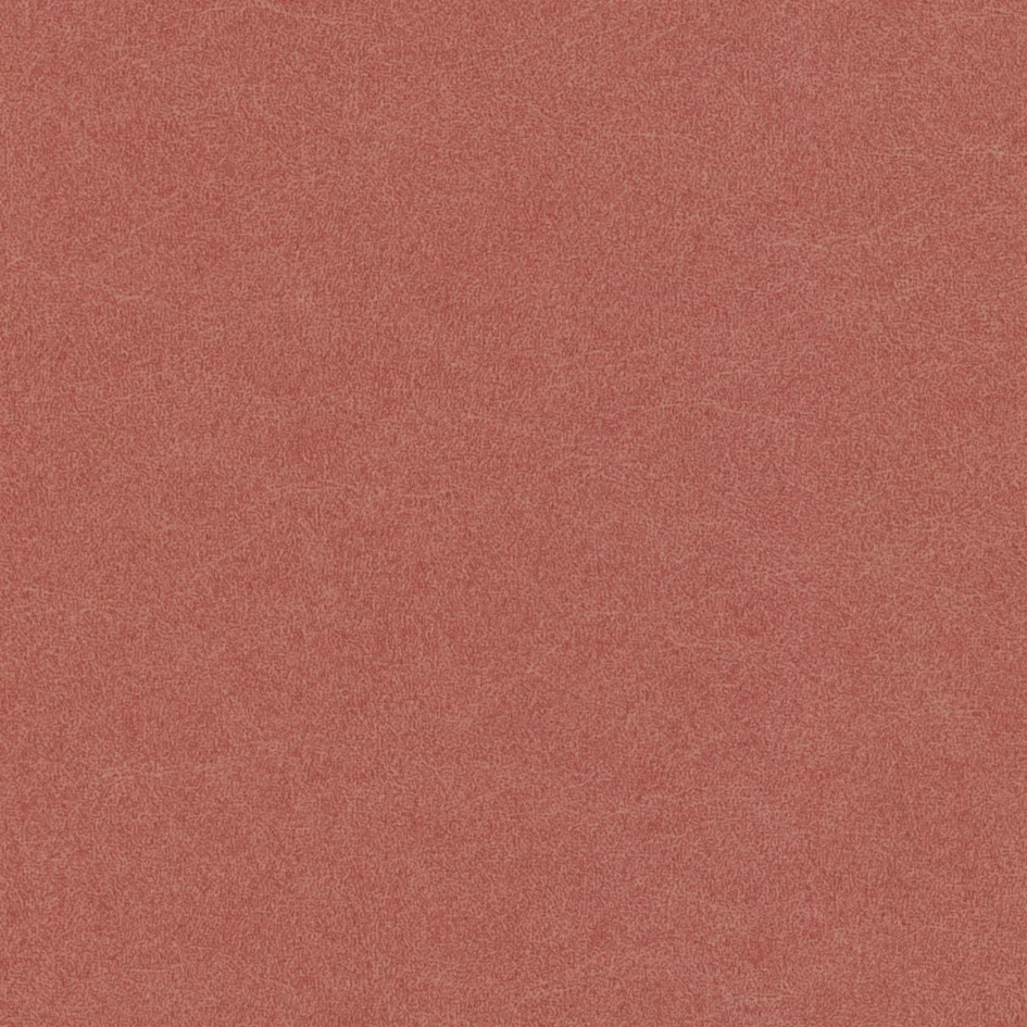 castel-55_CASTEL_55.webp