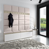 Polsterpaneel Lilian Velutto 01 60x30
